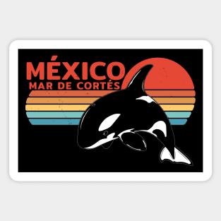 México Sea of Cortez Killer Whale Magnet